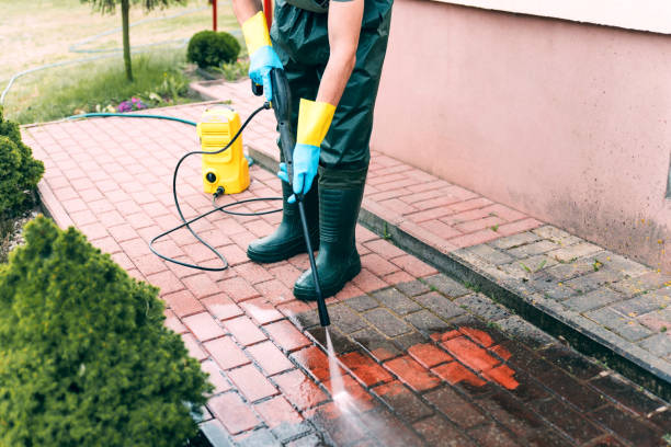 Best Pressure Washing Driveway  in Marshalltown, IA