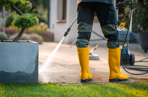 Best Affordable Pressure Washing  in Marshalltown, IA